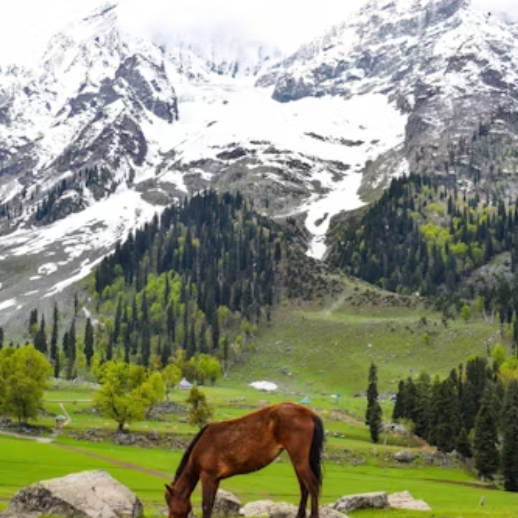 untitled design (22)