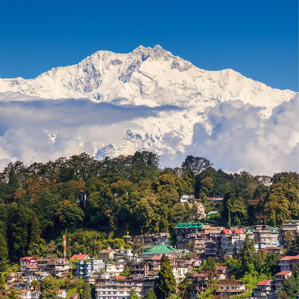 untitled design (24)