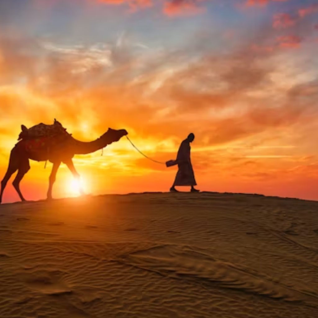 untitled design (25)