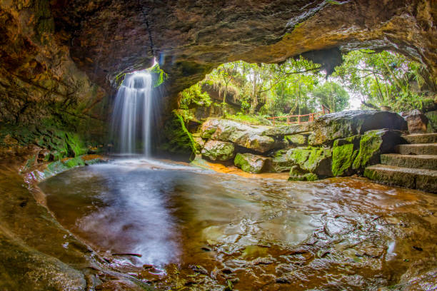 istockphoto 2159993903 612x612